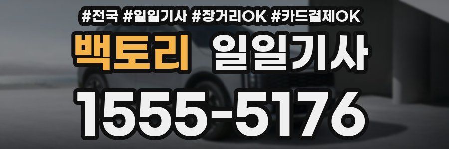 백토리 일일기사