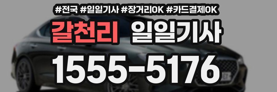 갈천리 일일기사