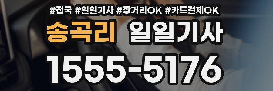 송곡리 일일기사