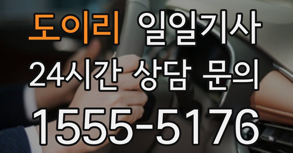 일일대리기사