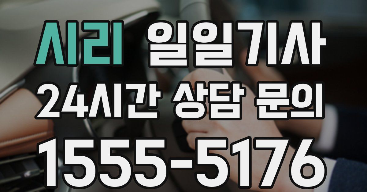 일일대리기사