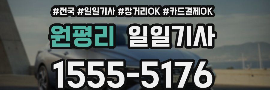 원평리 일일기사