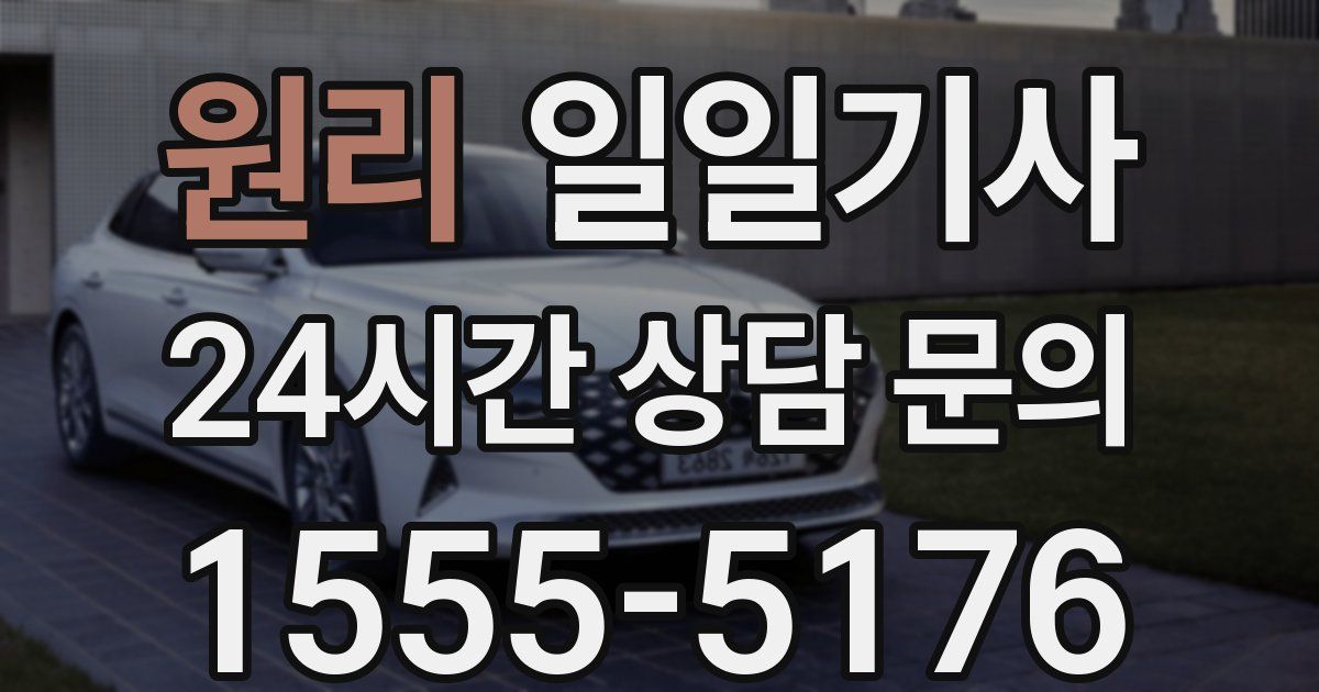 일일대리기사