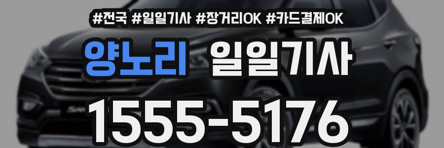 양노리 일일기사