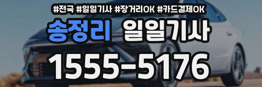 송정리 일일기사