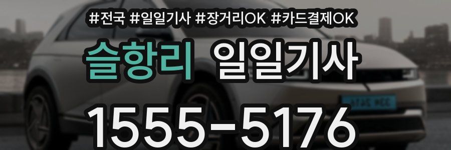 슬항리 일일기사