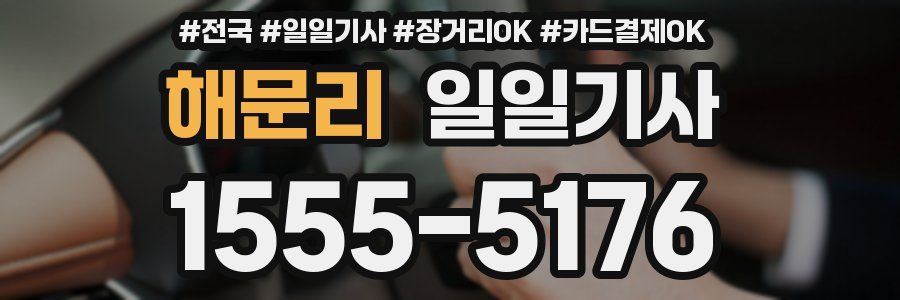 해문리 일일기사