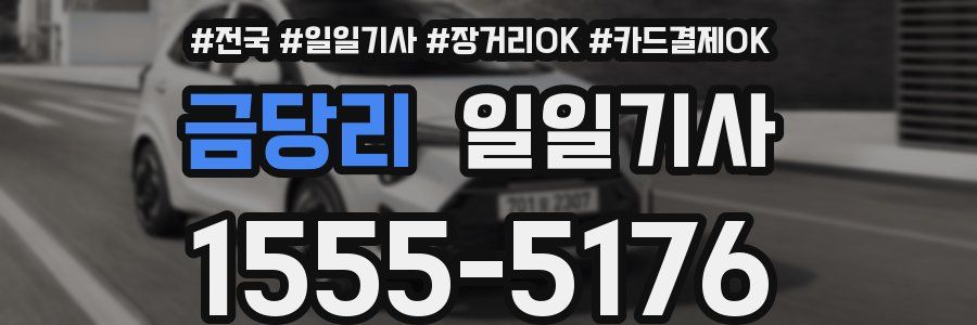 금당리 일일기사