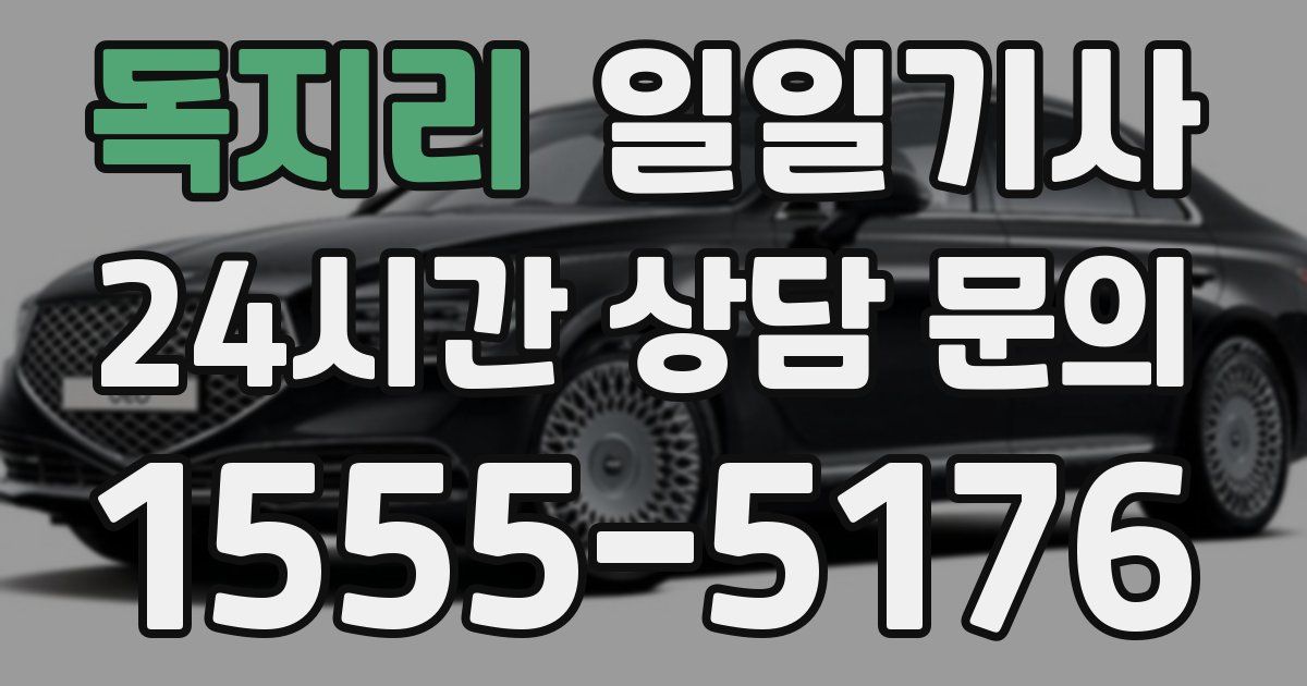 일일대리기사