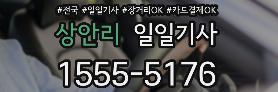 상안리 일일기사