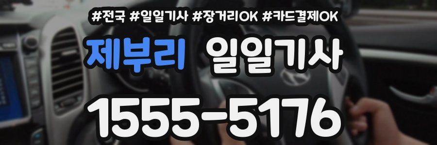 제부리 일일기사