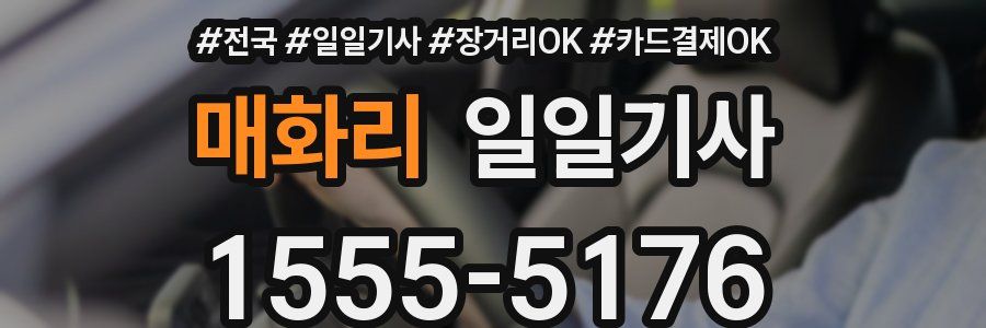 매화리 일일기사