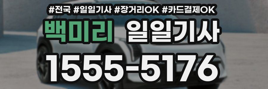 백미리 일일기사