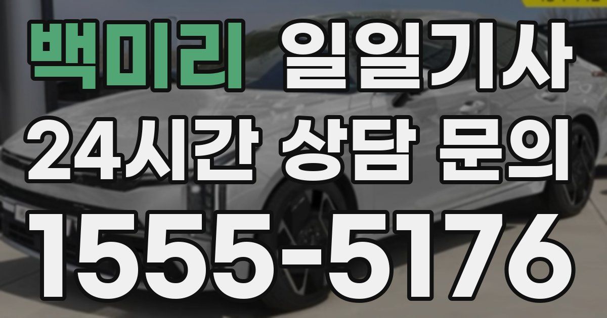 일일대리기사