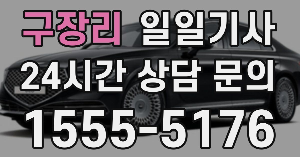 일일대리기사