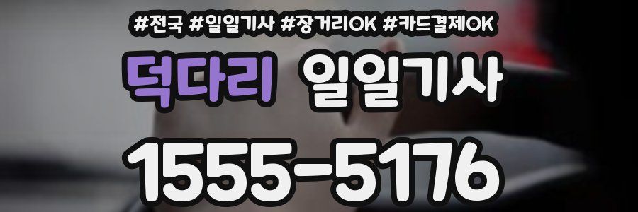 덕다리 일일기사