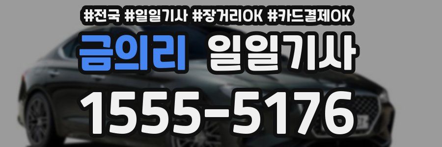 금의리 일일기사