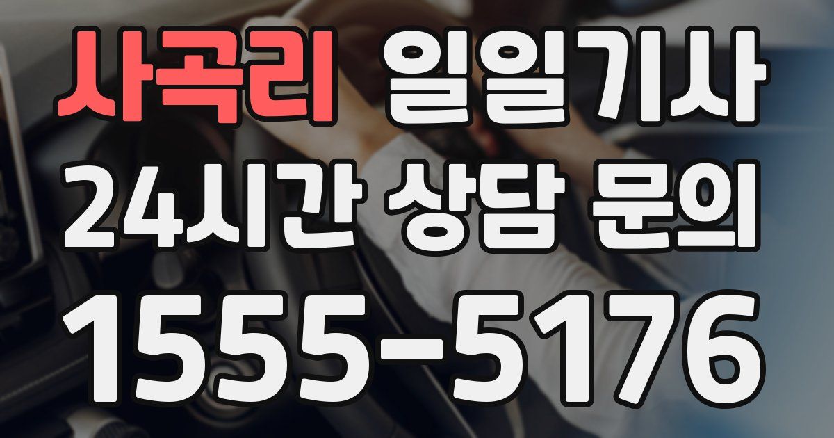 일일대리기사