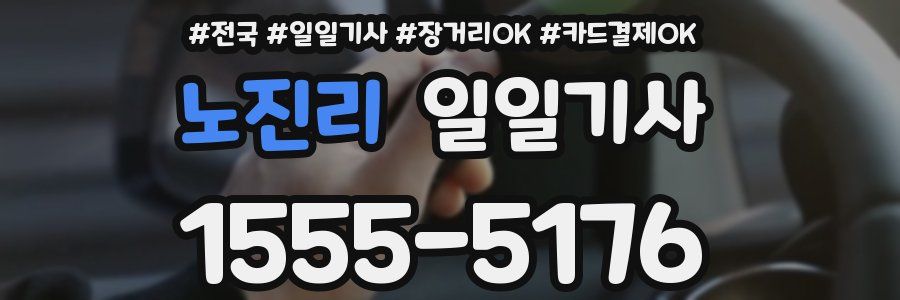 노진리 일일기사