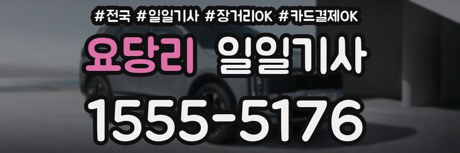 요당리 일일기사