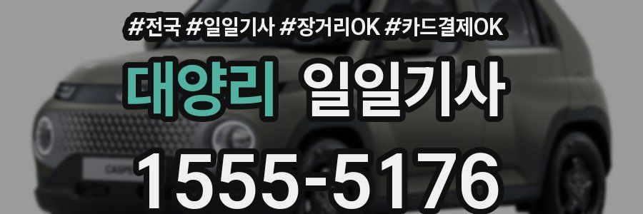 대양리 일일기사