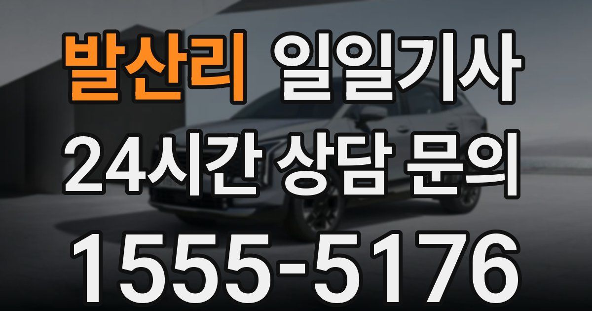 일일대리기사