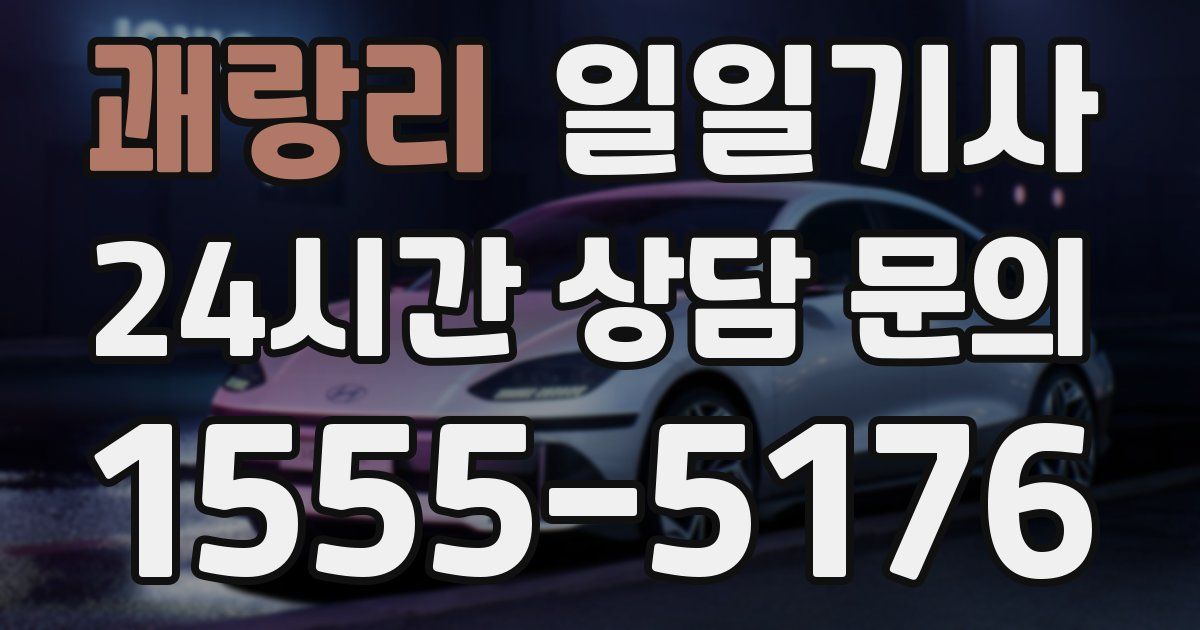 일일대리기사