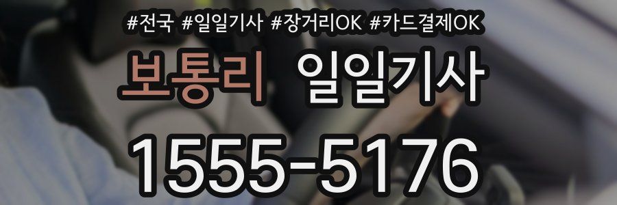 보통리 일일기사