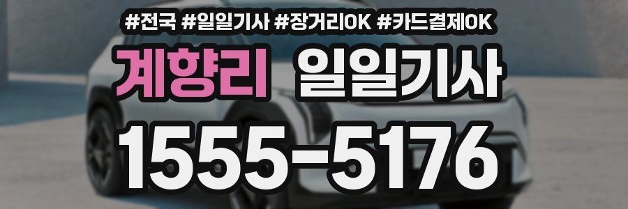 계향리 일일기사