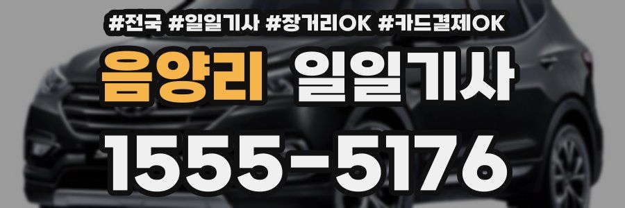 음양리 일일기사