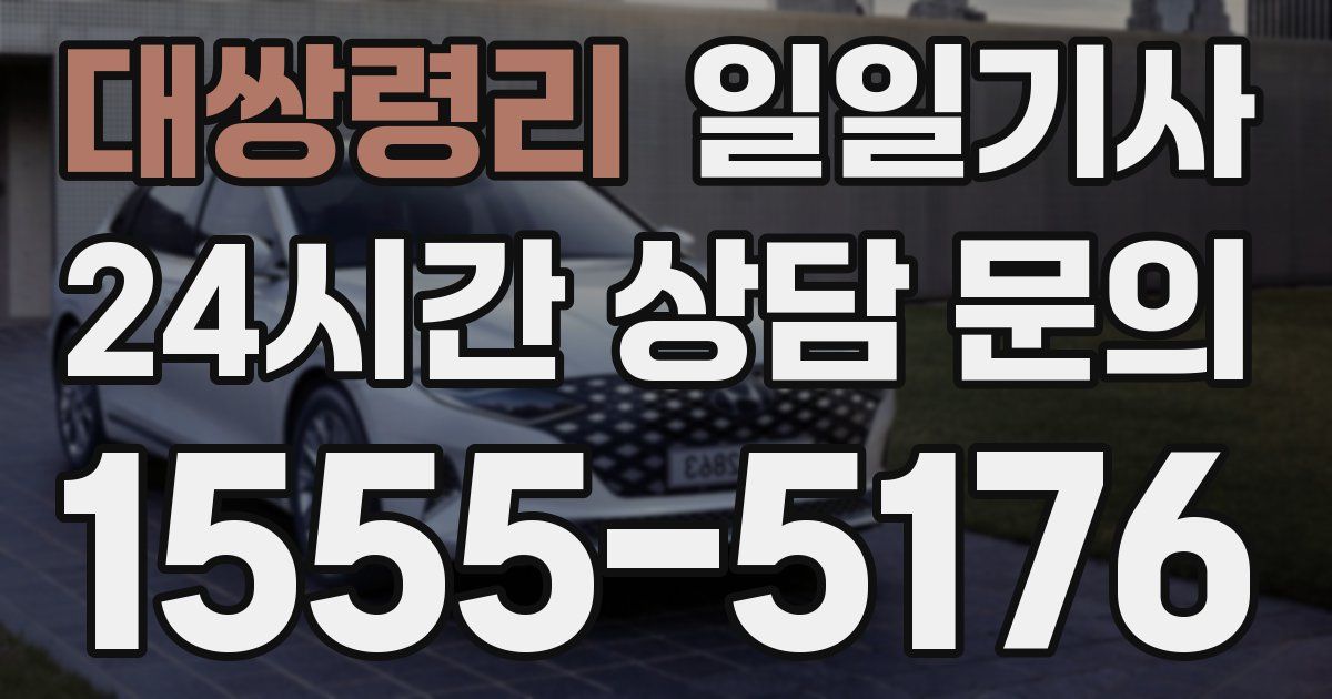 일일대리기사