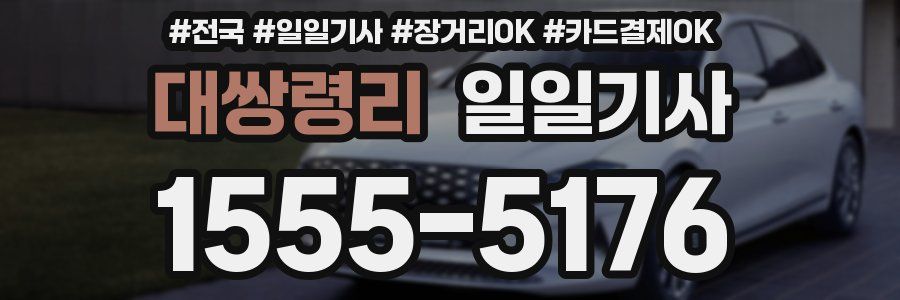 대쌍령리 일일기사