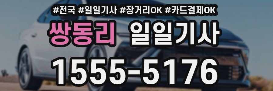 쌍동리 일일기사