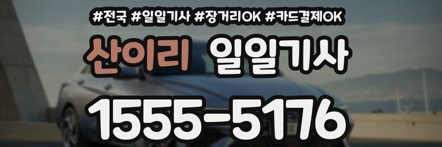 산이리 일일기사