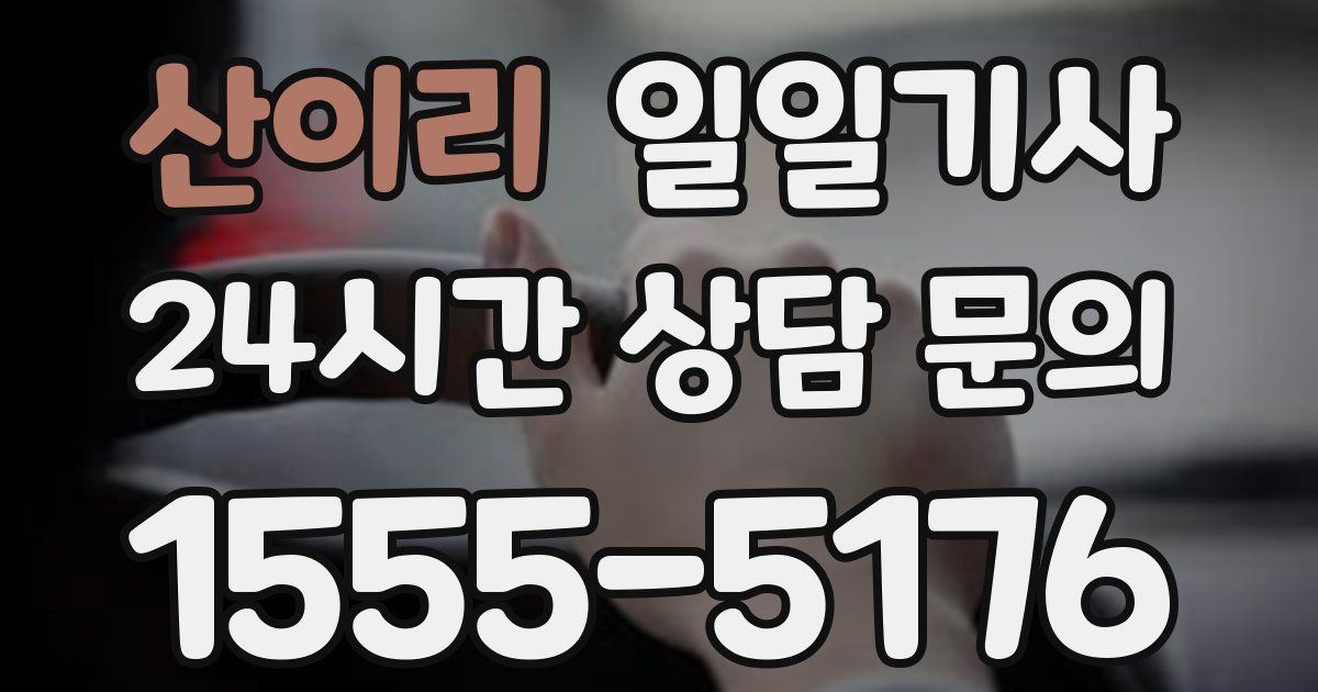 일일대리기사