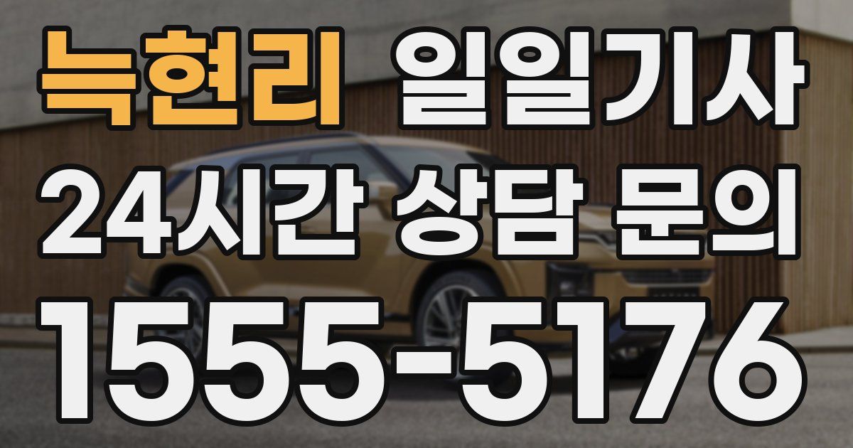 일일대리기사