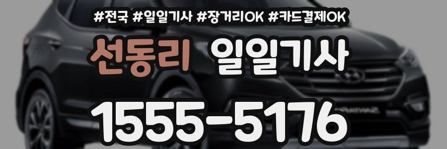선동리 일일기사