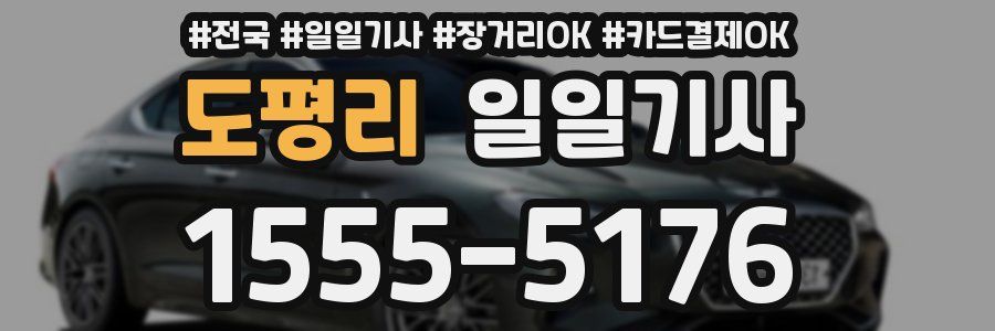 도평리 일일기사