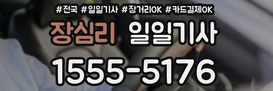 장심리 일일기사