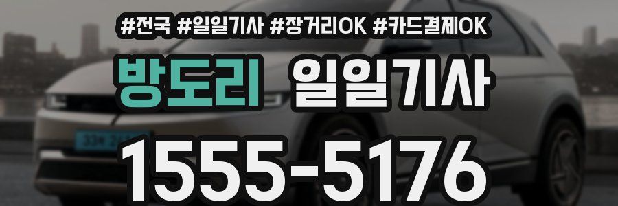 방도리 일일기사