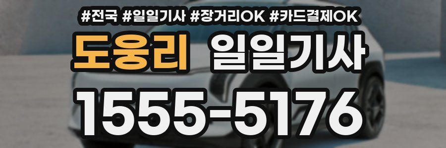 도웅리 일일기사
