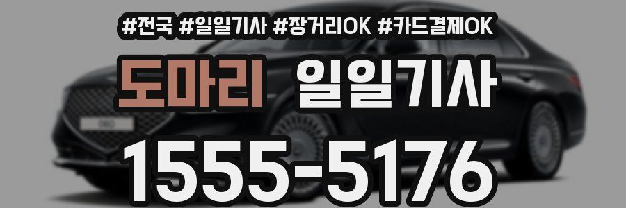 도마리 일일기사