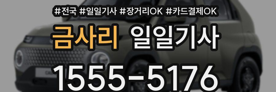 금사리 일일기사