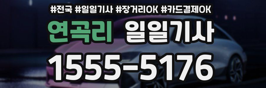 연곡리 일일기사