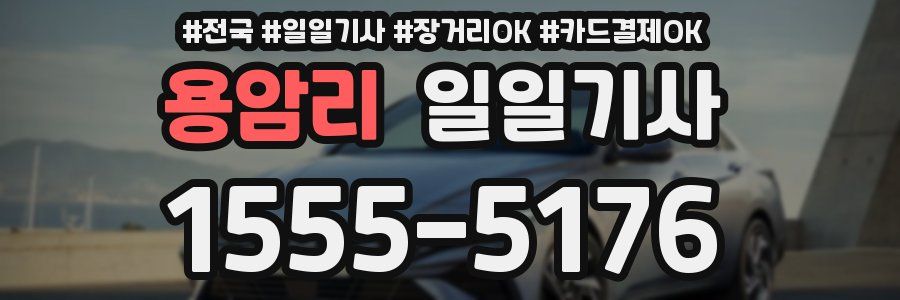 용암리 일일기사