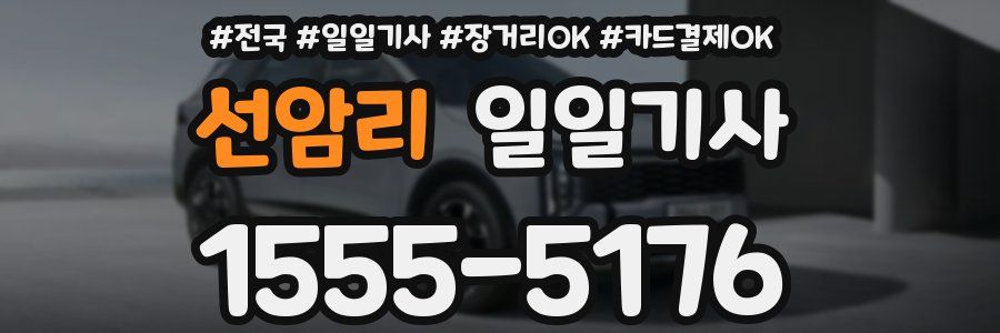 선암리 일일기사