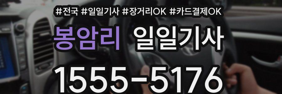 봉암리 일일기사