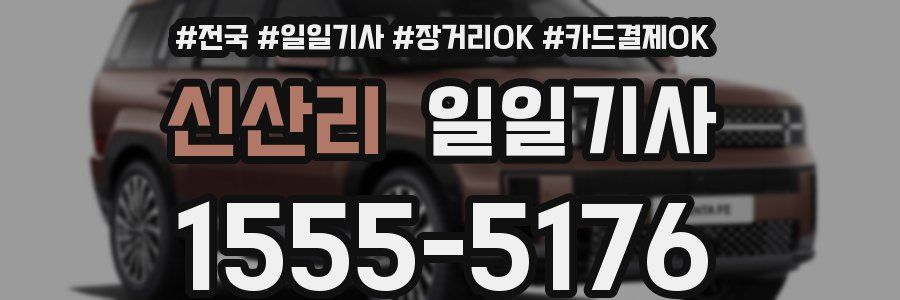 신산리 일일기사