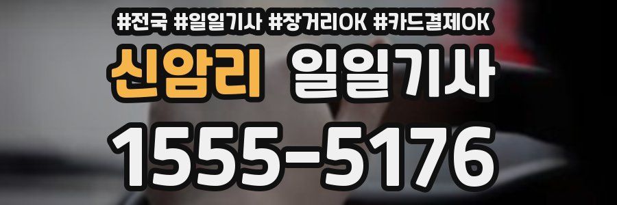 신암리 일일기사