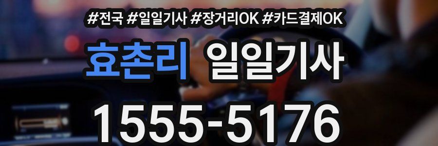 효촌리 일일기사
